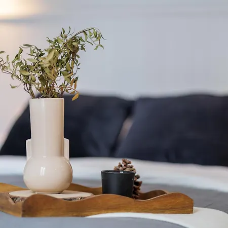 Modern One Bedroom Close To Promenade Des Anglais アパート *